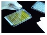micro plate sealing film