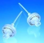6818-1304 Puradissc syringe filter
